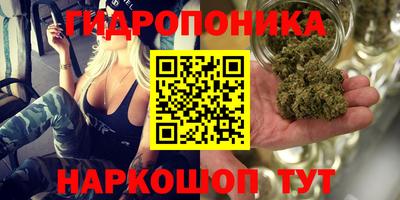 spice Шебекино