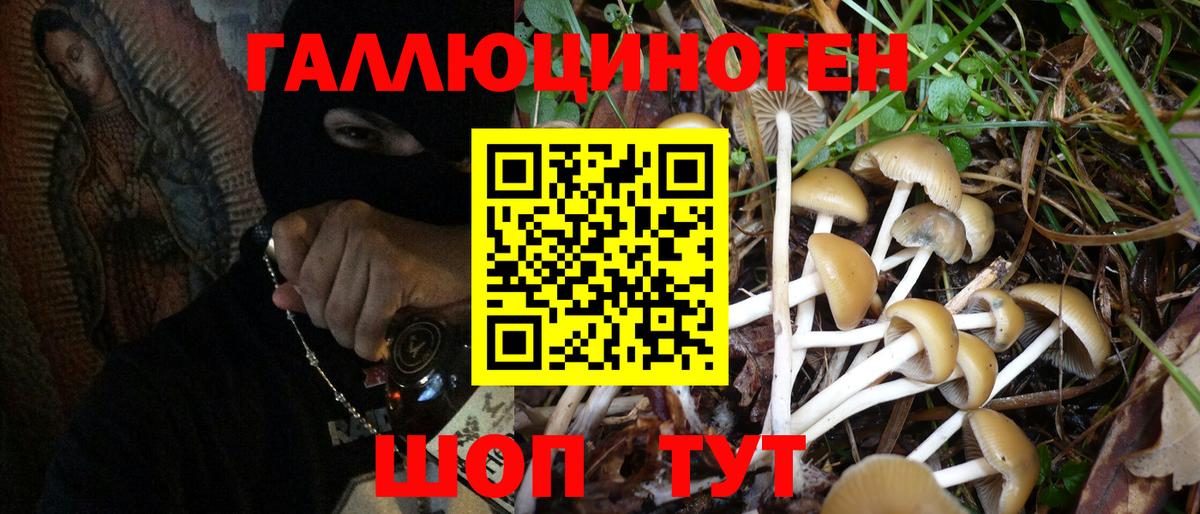 Псилоцибиновые грибы GOLDEN TEACHER  Псилоцибиновые грибы MAGIC MUSHROOMS  Вход с VPN  Ноябрьск 